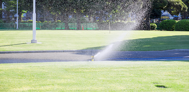 Image of sprinkler watering a golf course